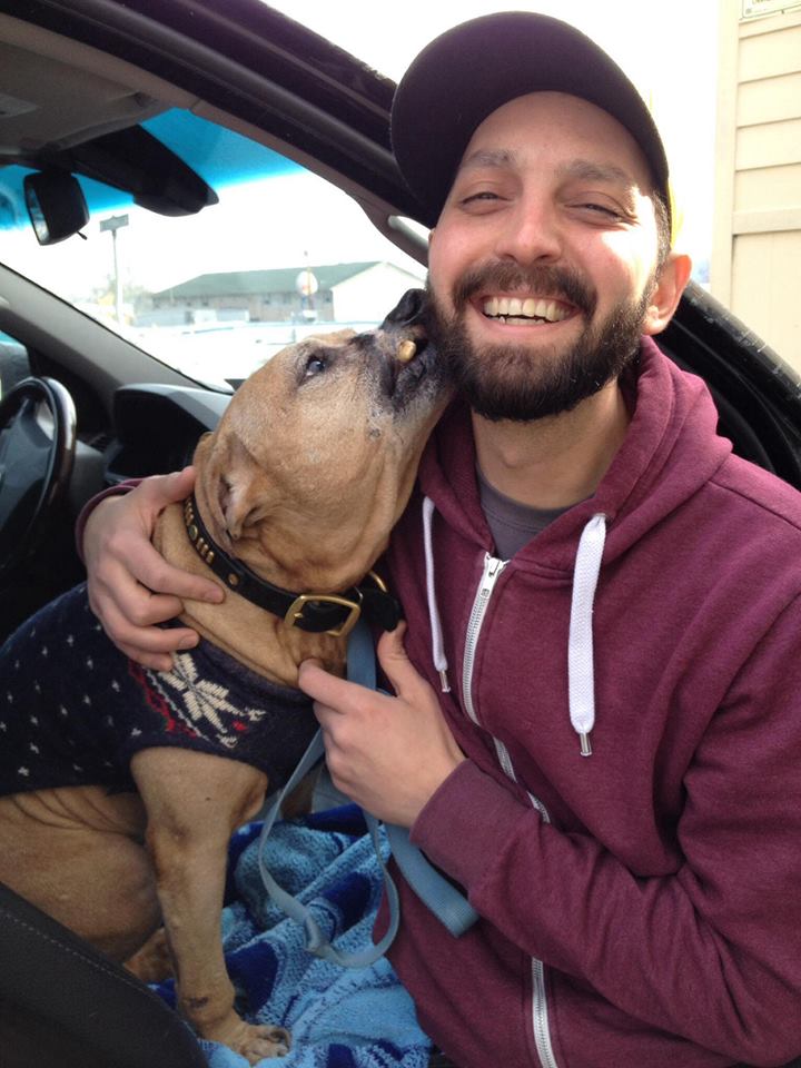 The incredible story of Sam, dogfighting survivor Yummypets
