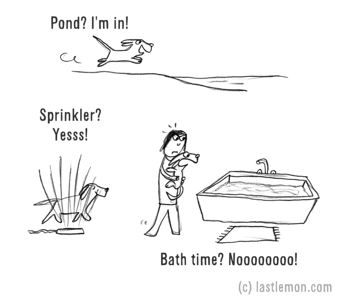 dessin humour chien n'aime pas le bain