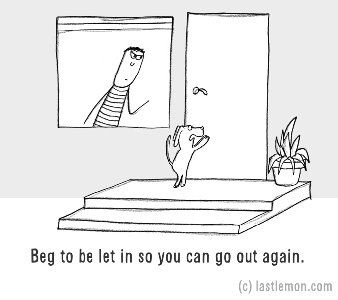 dessin humour chien voulant rentrer dans la maison
