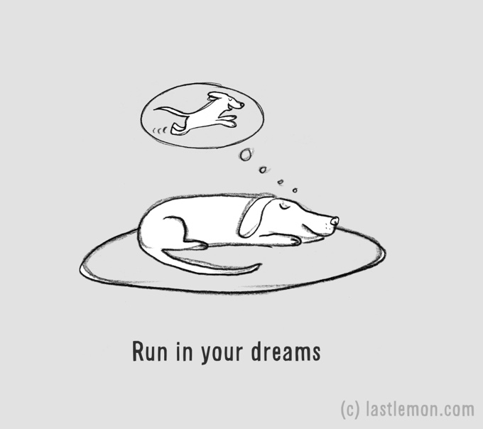 dessin humour chien rêve