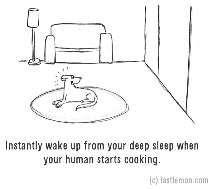 chien content dessin humour