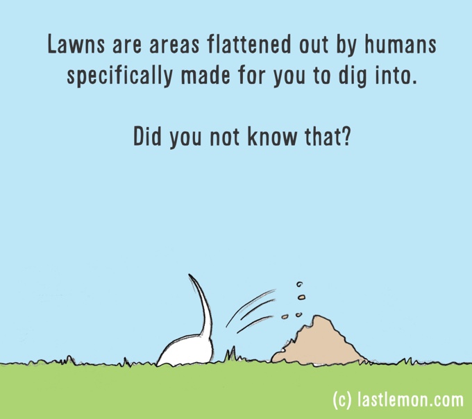 dessin humour chien creuse trou jardin