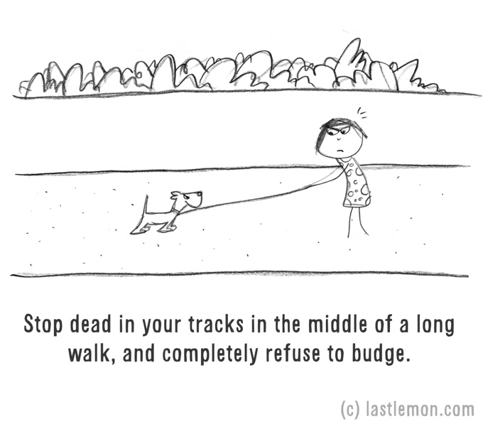 dessin humour balade chien