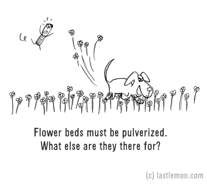 dessin humour chien fleurs