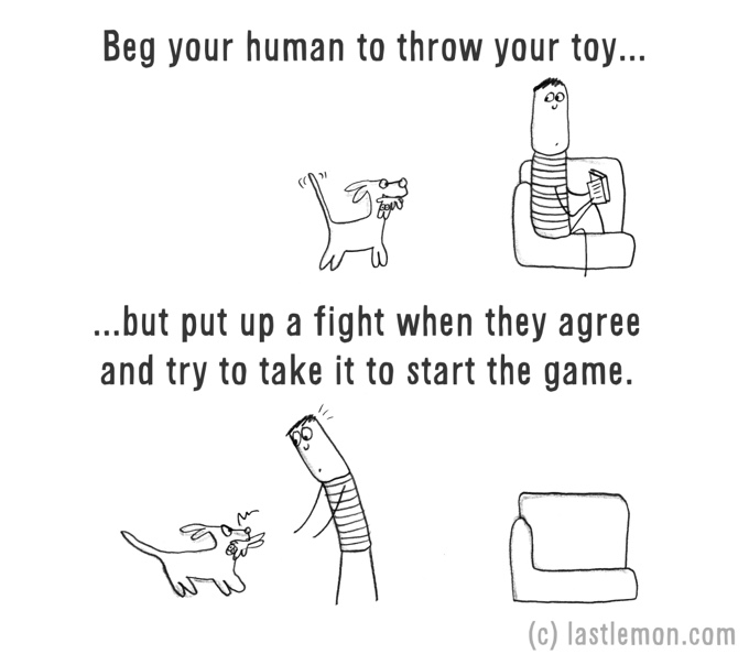 chien jouet jeu dessin humour