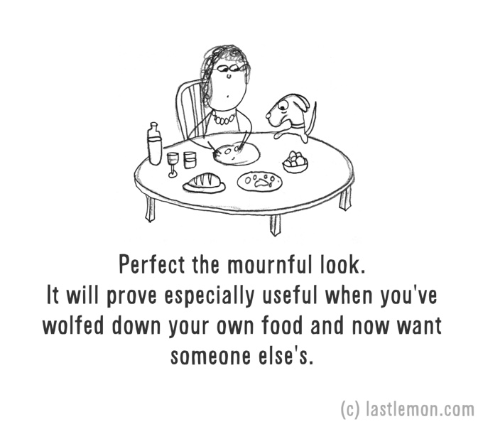 chien table repas dessin humour