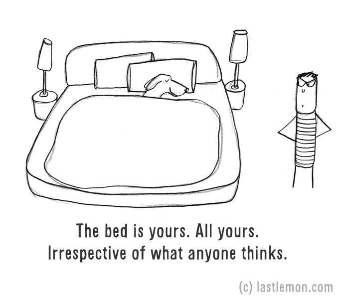 chien dormant dans le lit dessin humour