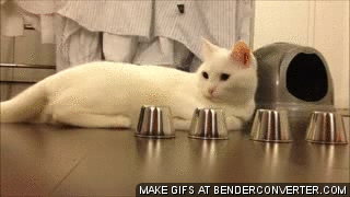 chat test