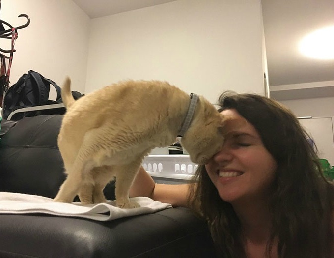 Ce Chat S Endort Uniquement Si On Lui Tient La Patte Yummypets