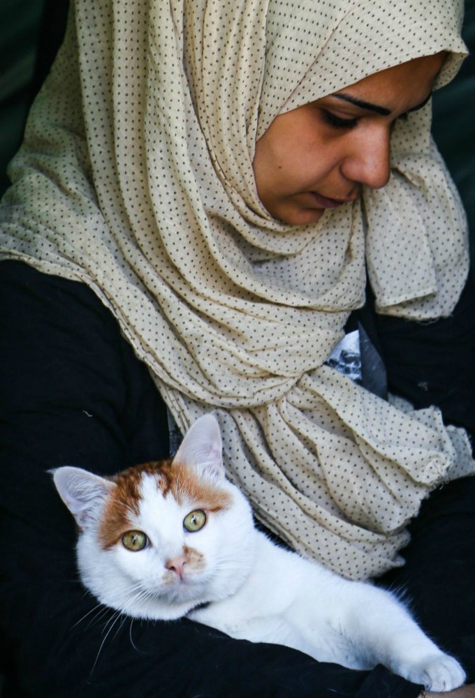 Cette famille de réfugiés refuse d’abandonner son chat Yummypets