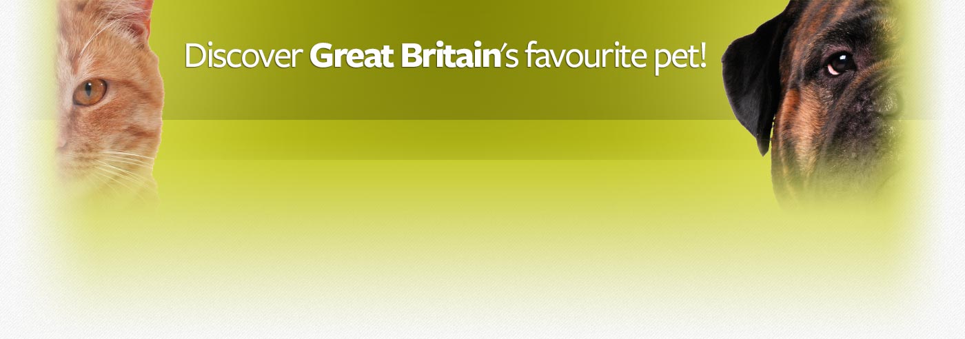 Great Britain, are we a nation of cat lovers or dogs lovers?