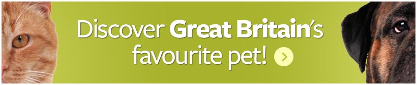 Great Britain, are we a nation of cat lovers or dog lovers?