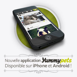 Nouvelle application Yummypets, disponible sur iPhone et Android !