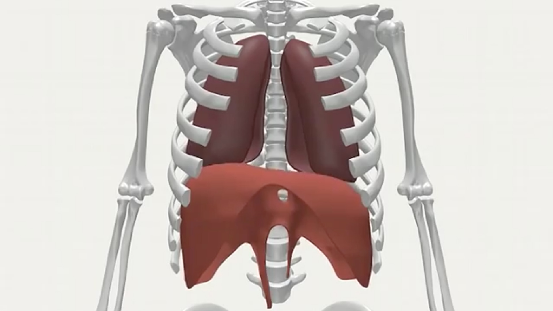 Breath Training and Pranayama Yoga International