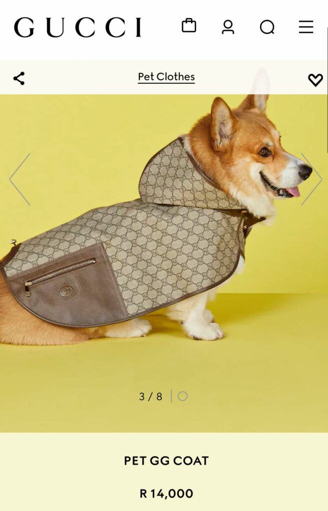 Gucci launches online store in South Africa