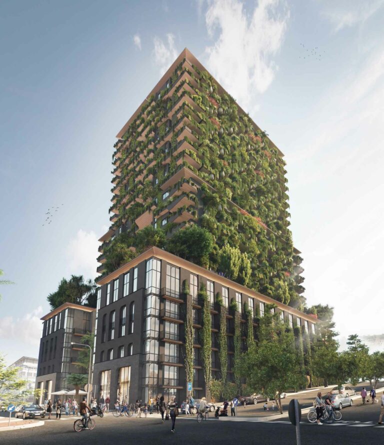 How to Incorporate Biophilic Design in Your Home