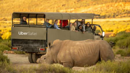 Uber launches ‘Uber Safari’ for one-day game drives
