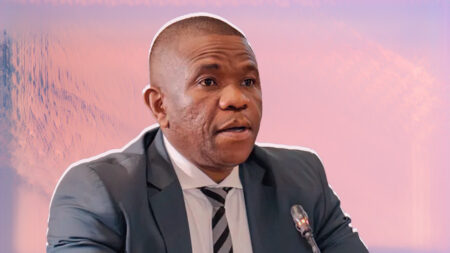 Madlanga Commission: Lt. General Nhlanhla Mkhwanazi is the first witness to take the stand