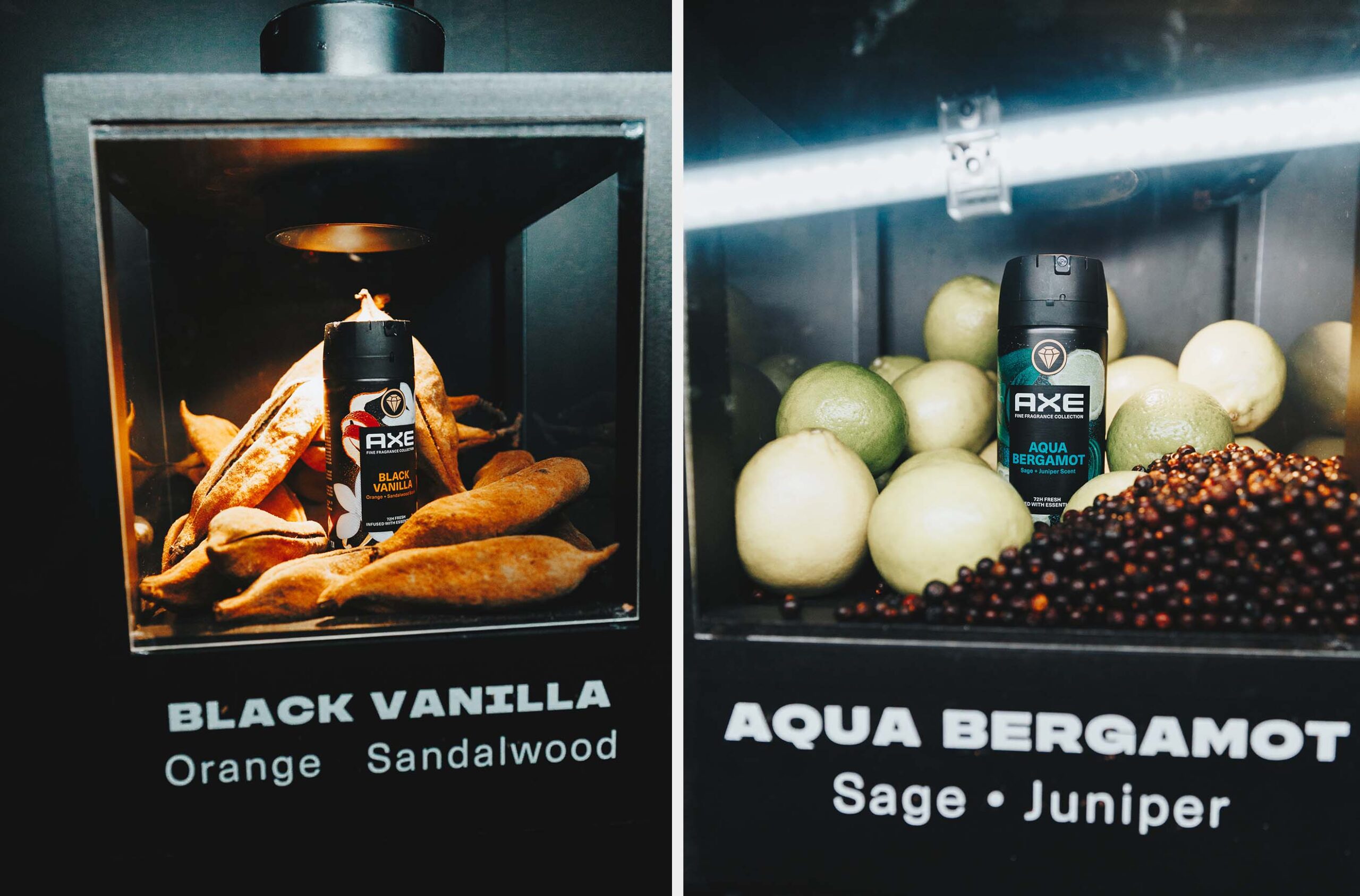 AXE launches new fine fragrance collection