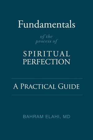 Fundamentals of the Process of Spiritual Perfection: A Practical Guide (2022)
