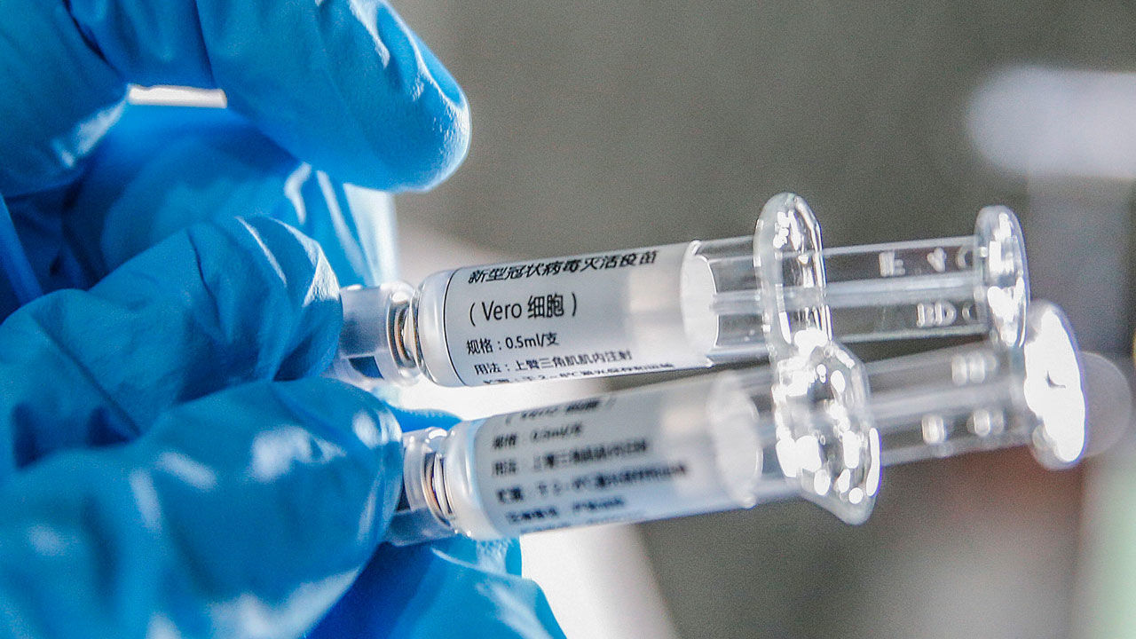 COVID-19 vaccine protects monkeys from new coronavirus, Chinese biotech reports