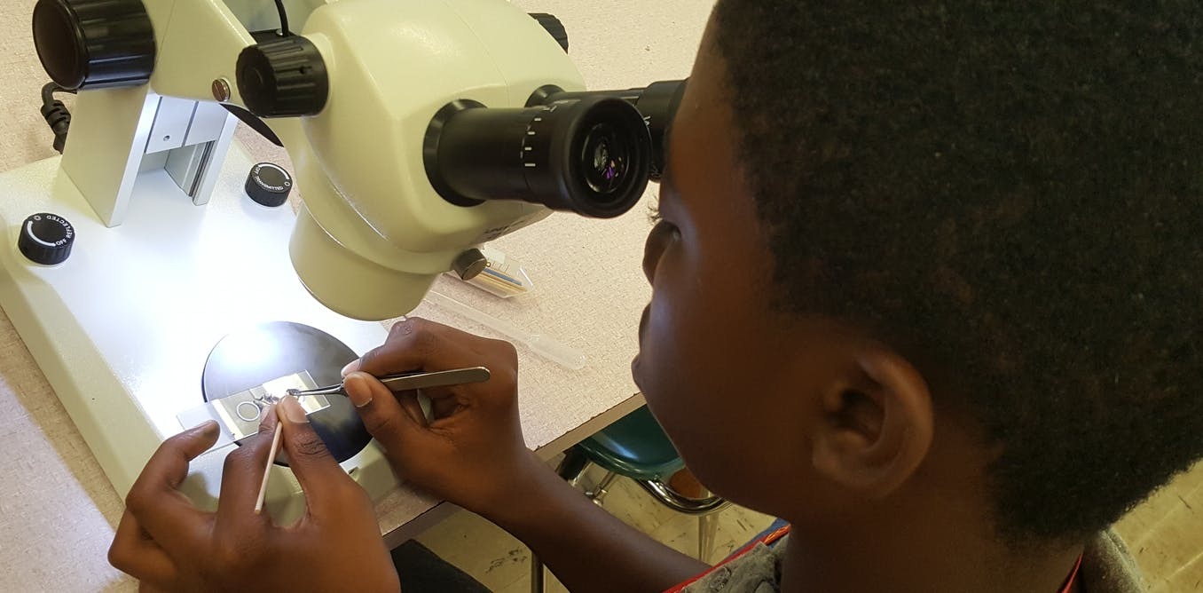 I have city kids make comic books to create a buzz about mosquitoes and ecology