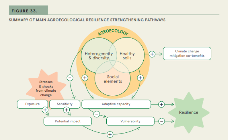 What is agroecology - and how can it help us fight climate change?