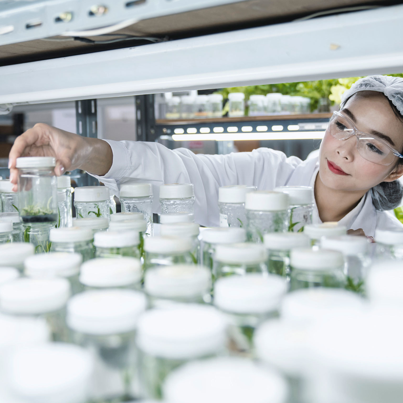 Needle in a haystack: Patents that inspire agricultural innovation