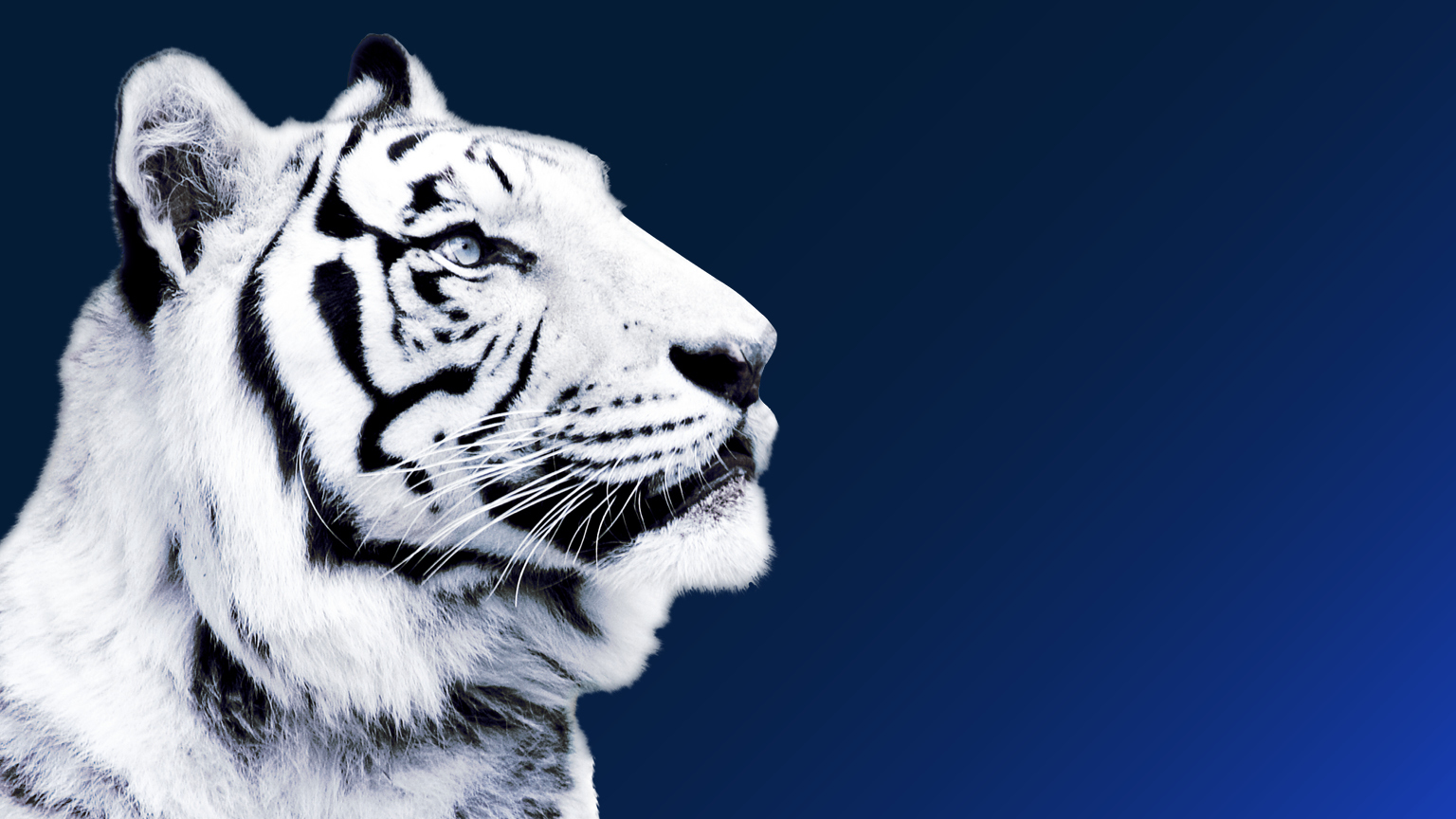 Our award-winning research looks next at climate change in Asia