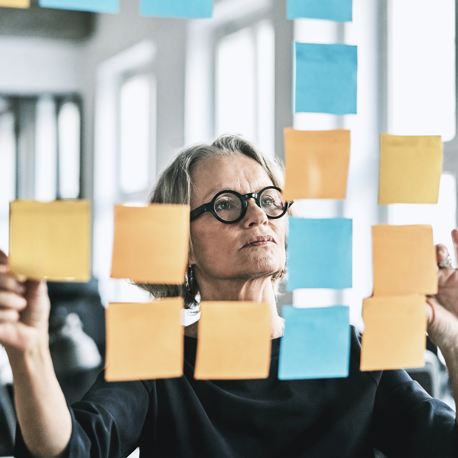 Seeing the savings: Toward transparent management of portfolio companies