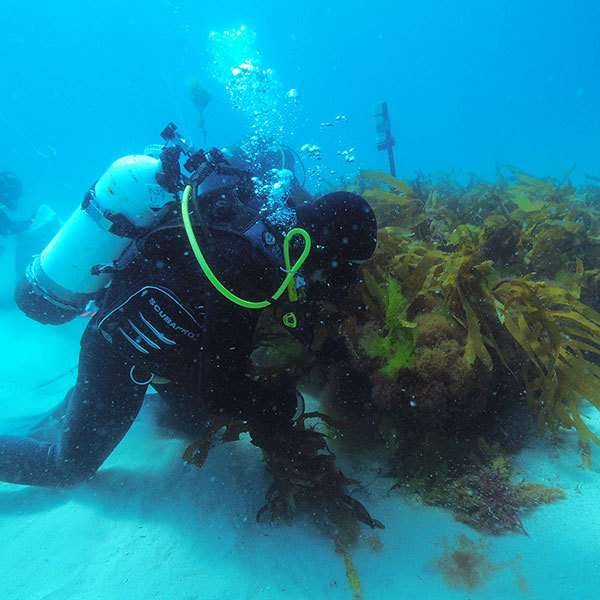 What Germany’s leading pandemic scientist says about what’s to come