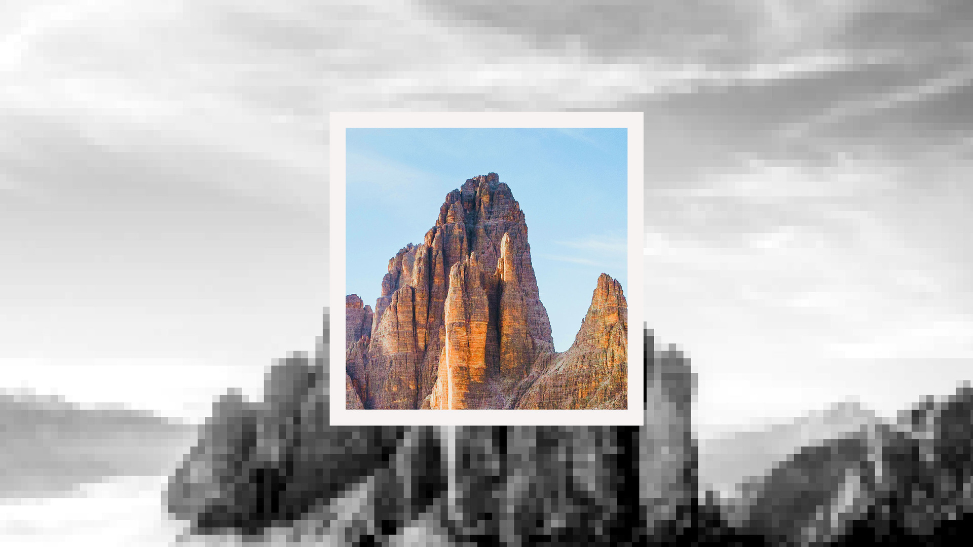 Data-Driven Cultures Start at the Top