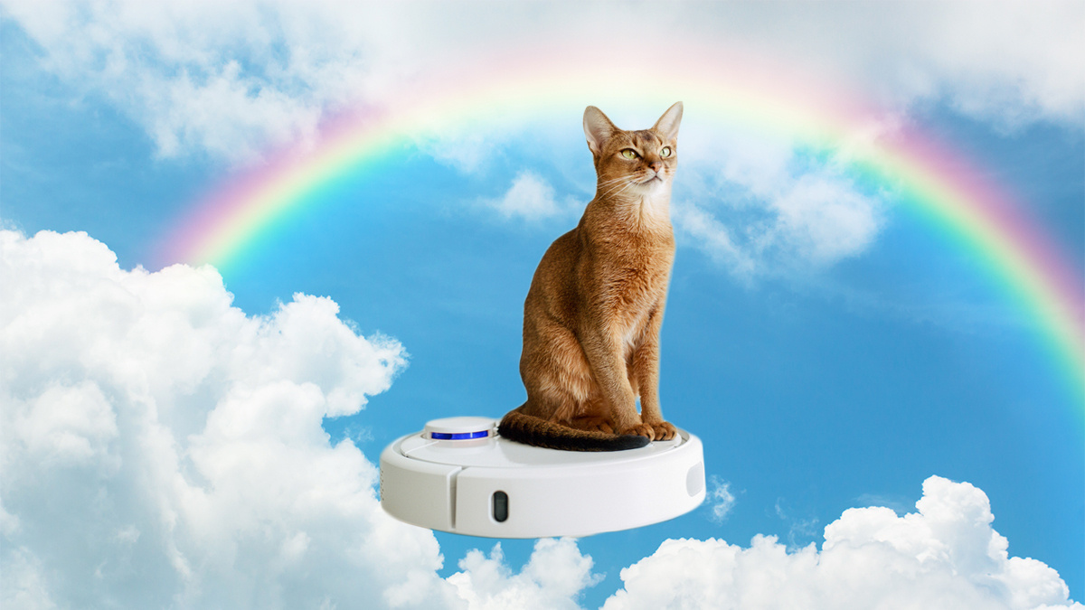 Robots Save Us Time — But Do They Make Us Happier?