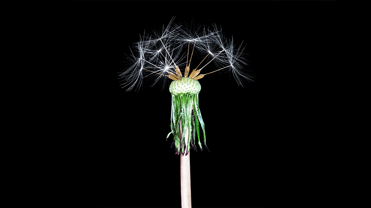 How to Talk to Your Team When the Future Is Uncertain