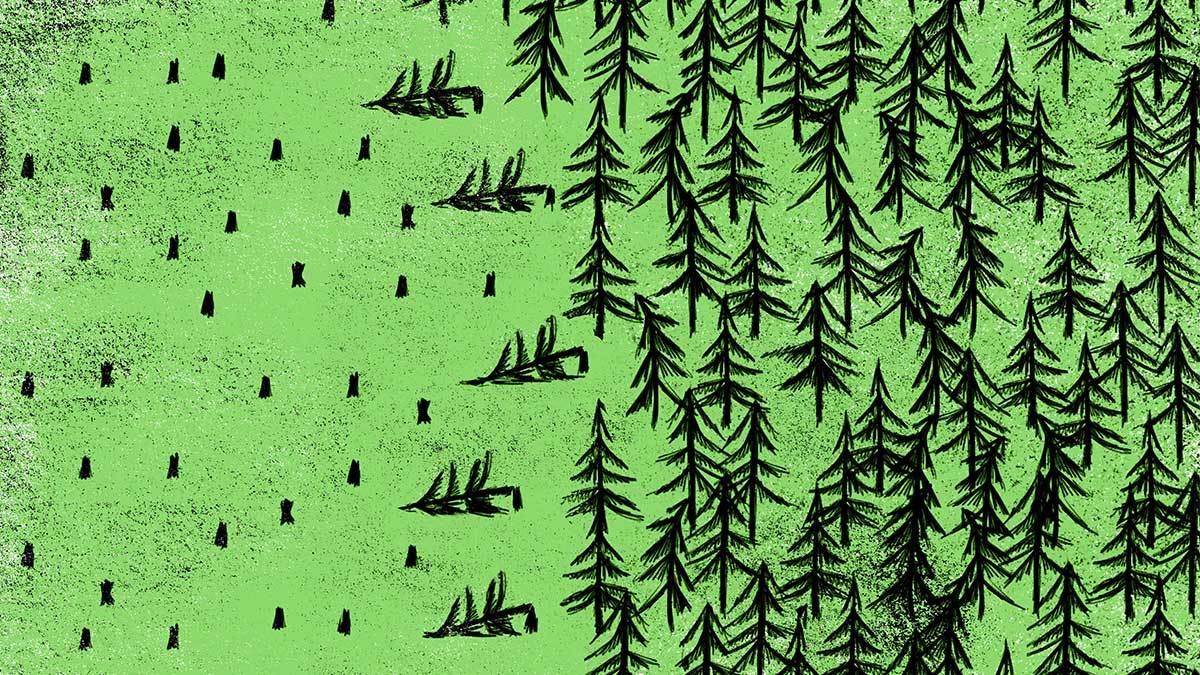 9 Sustainable Business Stories That Shaped 2016