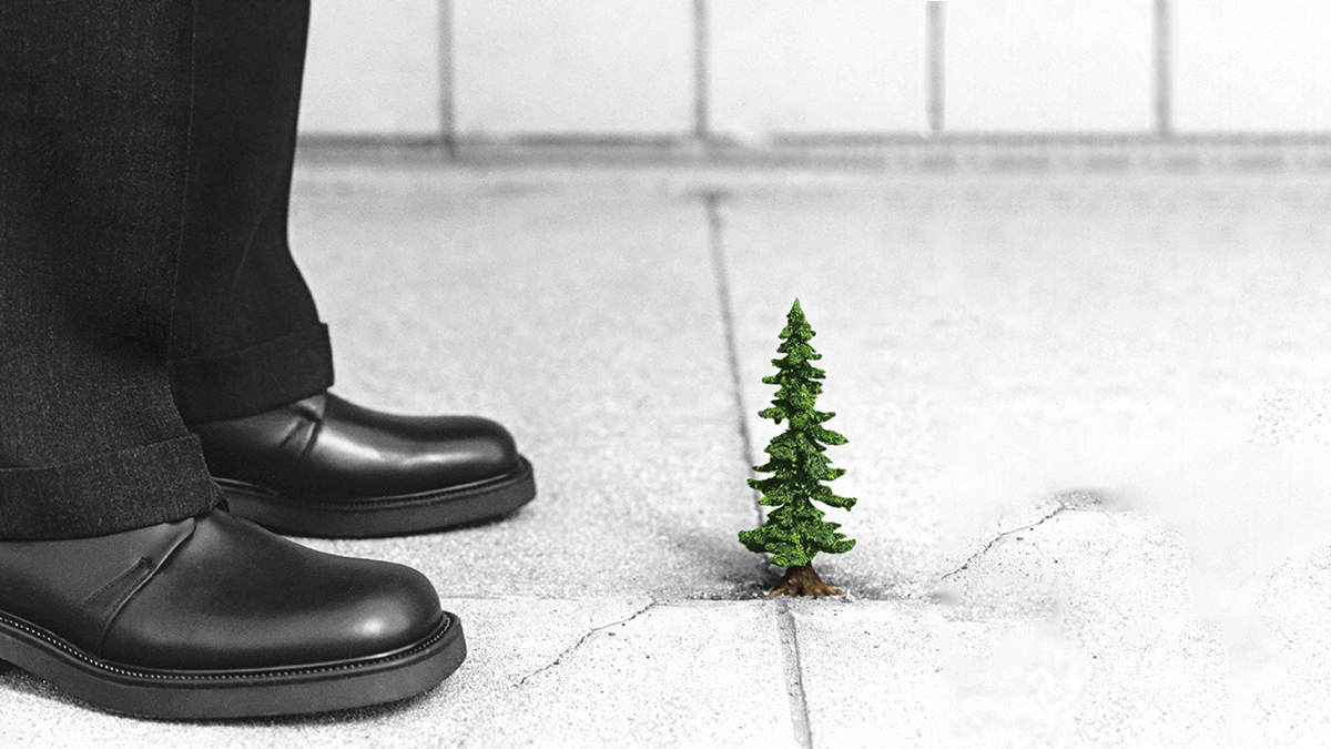 What 1,000 CEOs Really Think About Climate Change and Inequality