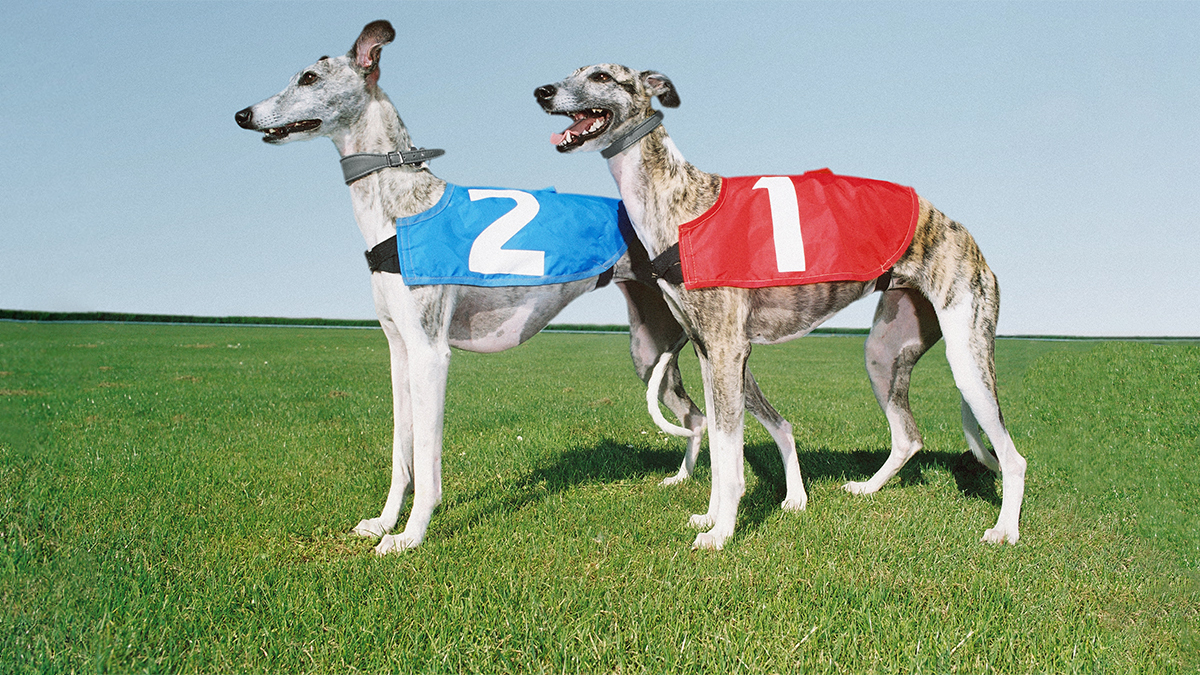 In Pitch Contests, Going First Is a Disadvantage