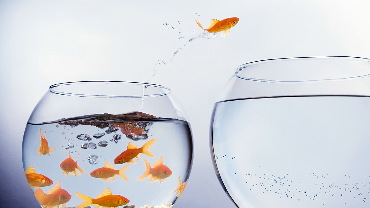 How to Achieve Resilient Growth Throughout the Business Cycle