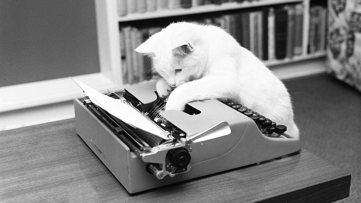 How to Become a Successful Freelancer