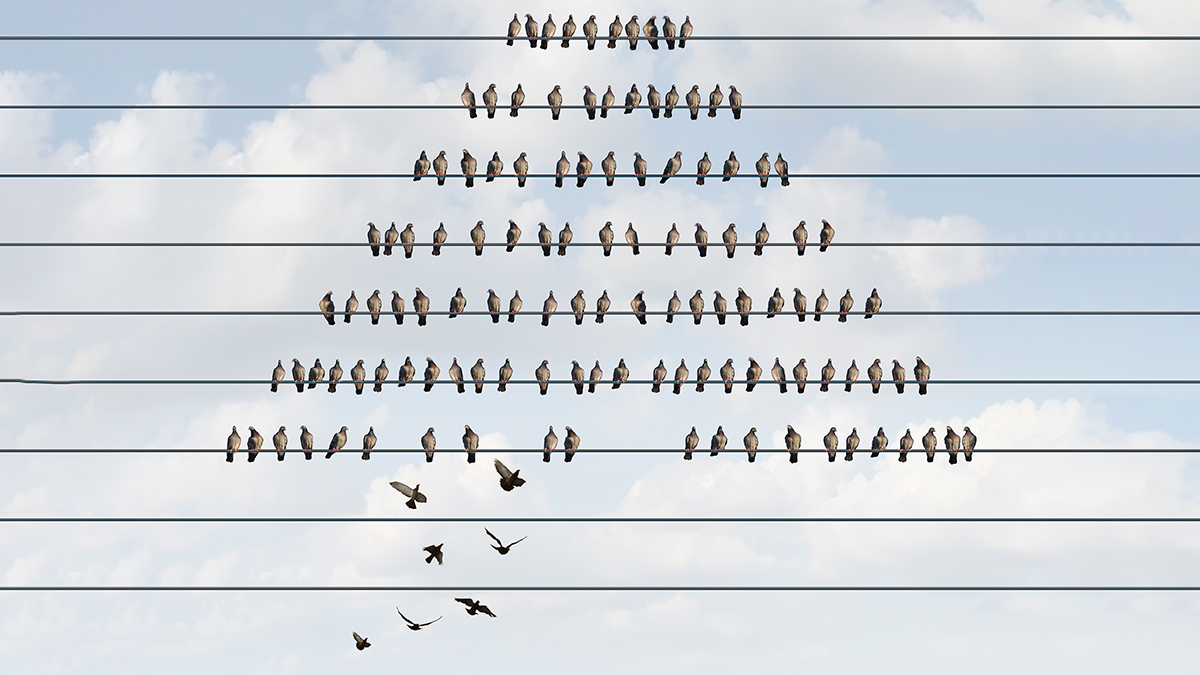 Why Competing For New Talent Is a Mistake