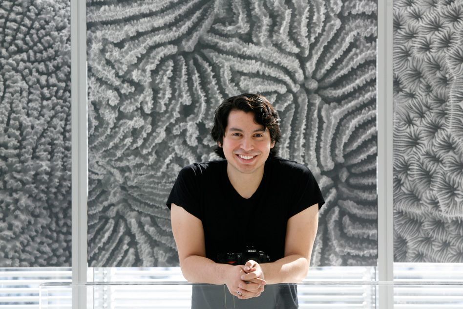 Visualizing the abstract: A life in computer science