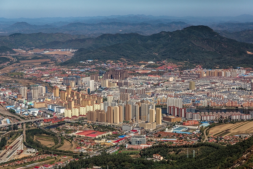 Transportation policymaking in Chinese cities