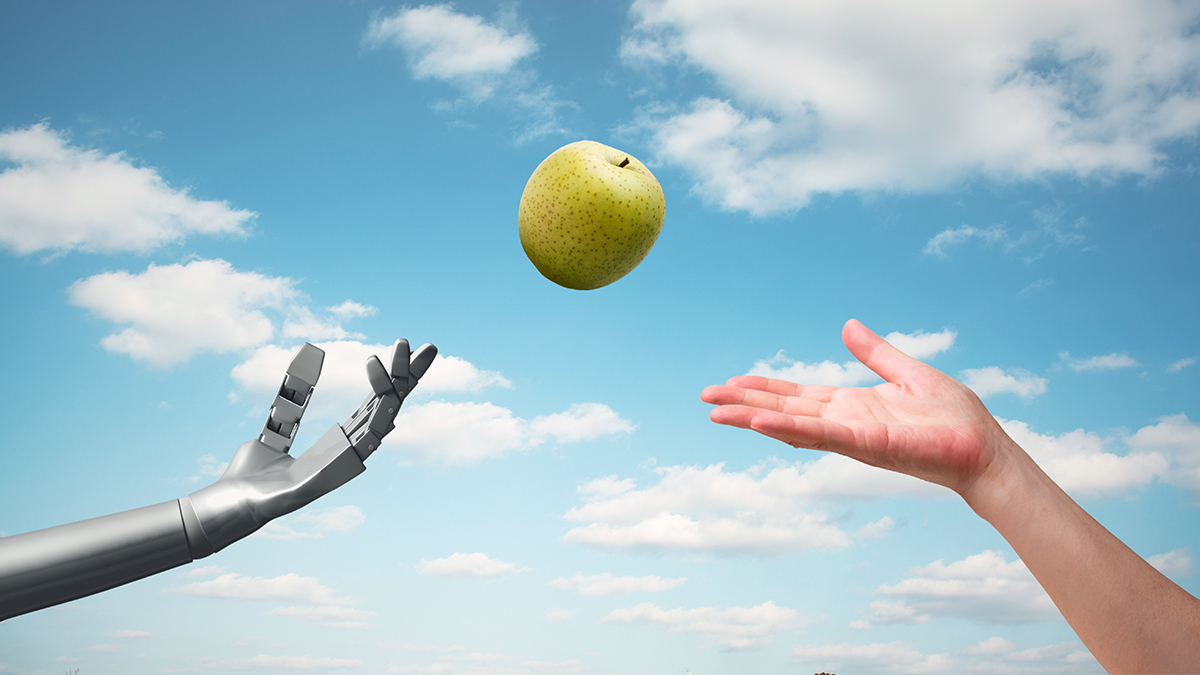 The AI Roles Some Companies Forget to Fill