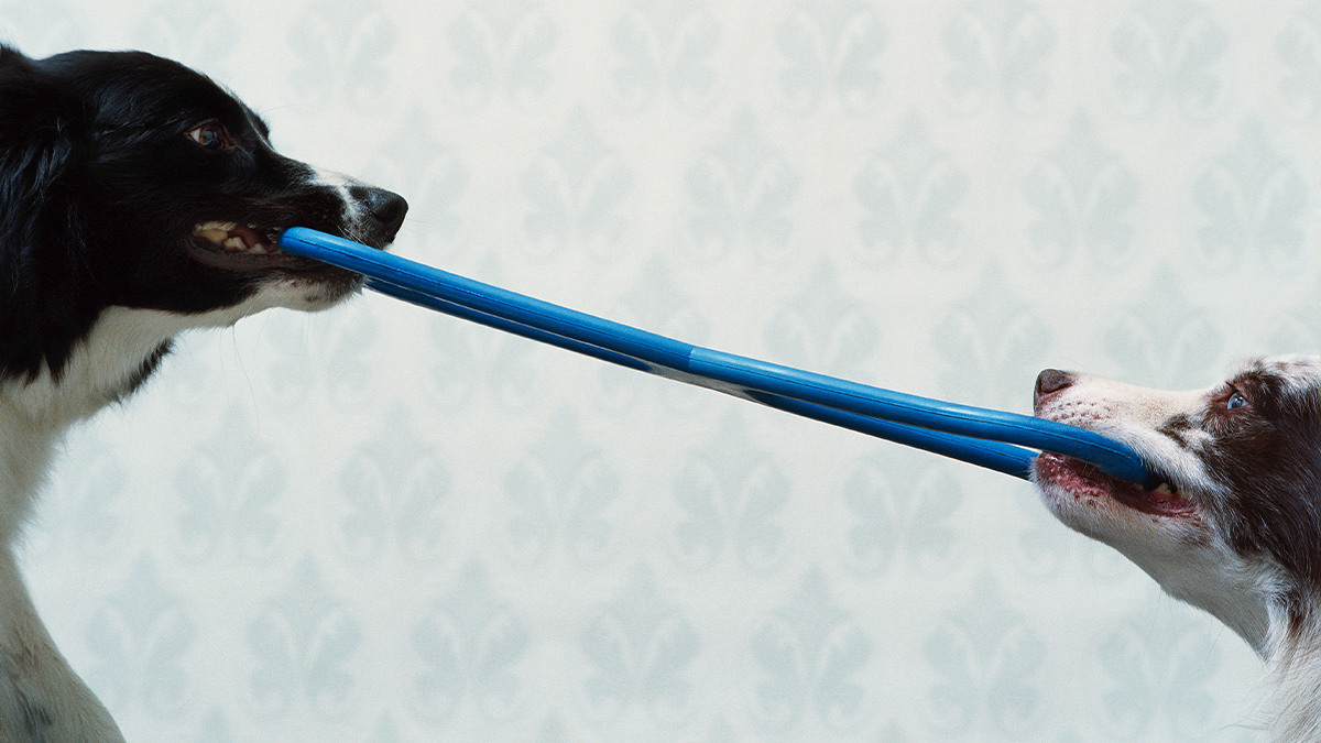 4 Tensions in Family Businesses — and How to Work Through Them