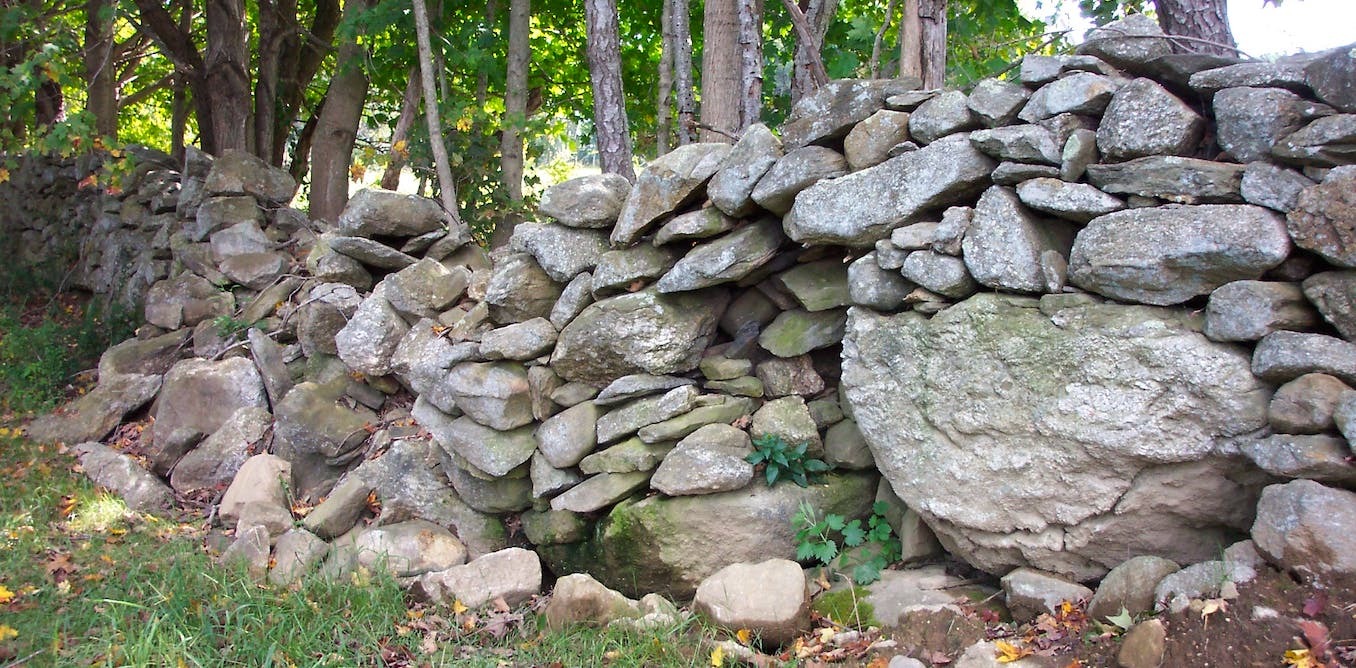 New England stone walls lie at the intersection of history, archaeology, ecology and geoscience, and deserve a science of their own