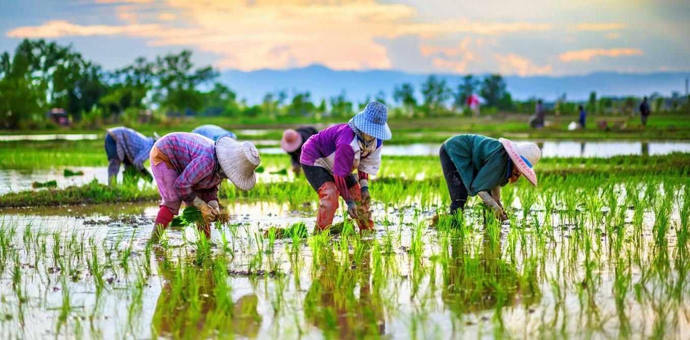 How a place's ecology can shape the culture of the people who live there ' podcast