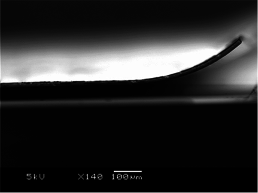 Sustainability of the built environment 