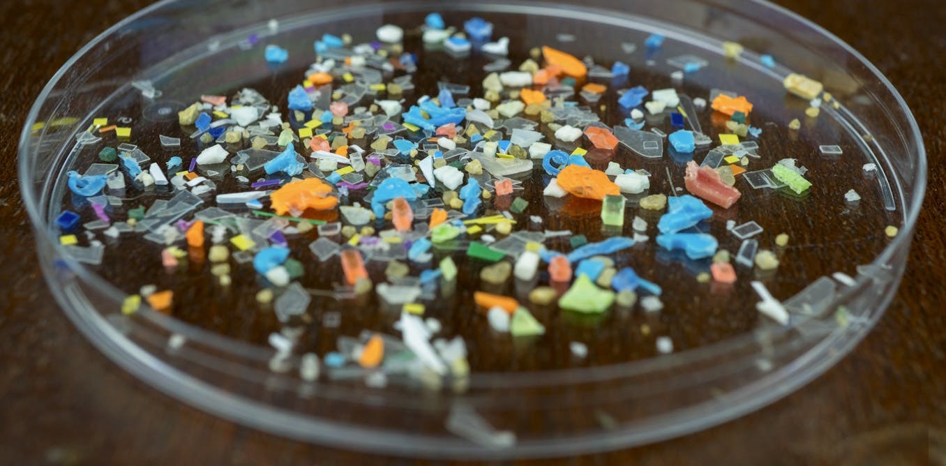 What's that microplastic' Advances in machine learning are making identifying plastics in the environment more reliable
