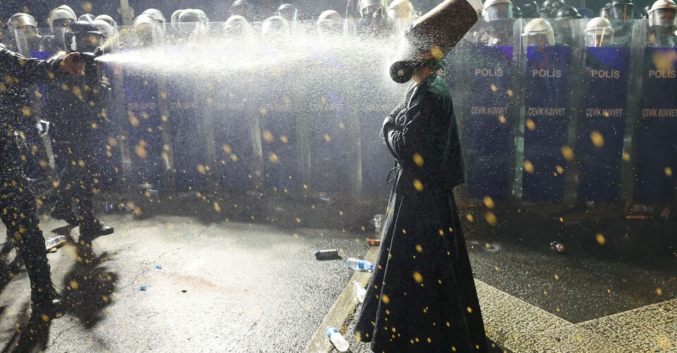 Photos of the Week:&nbsp;Raccoon Snack, Tyrannosaurus Race, Speed Skiing