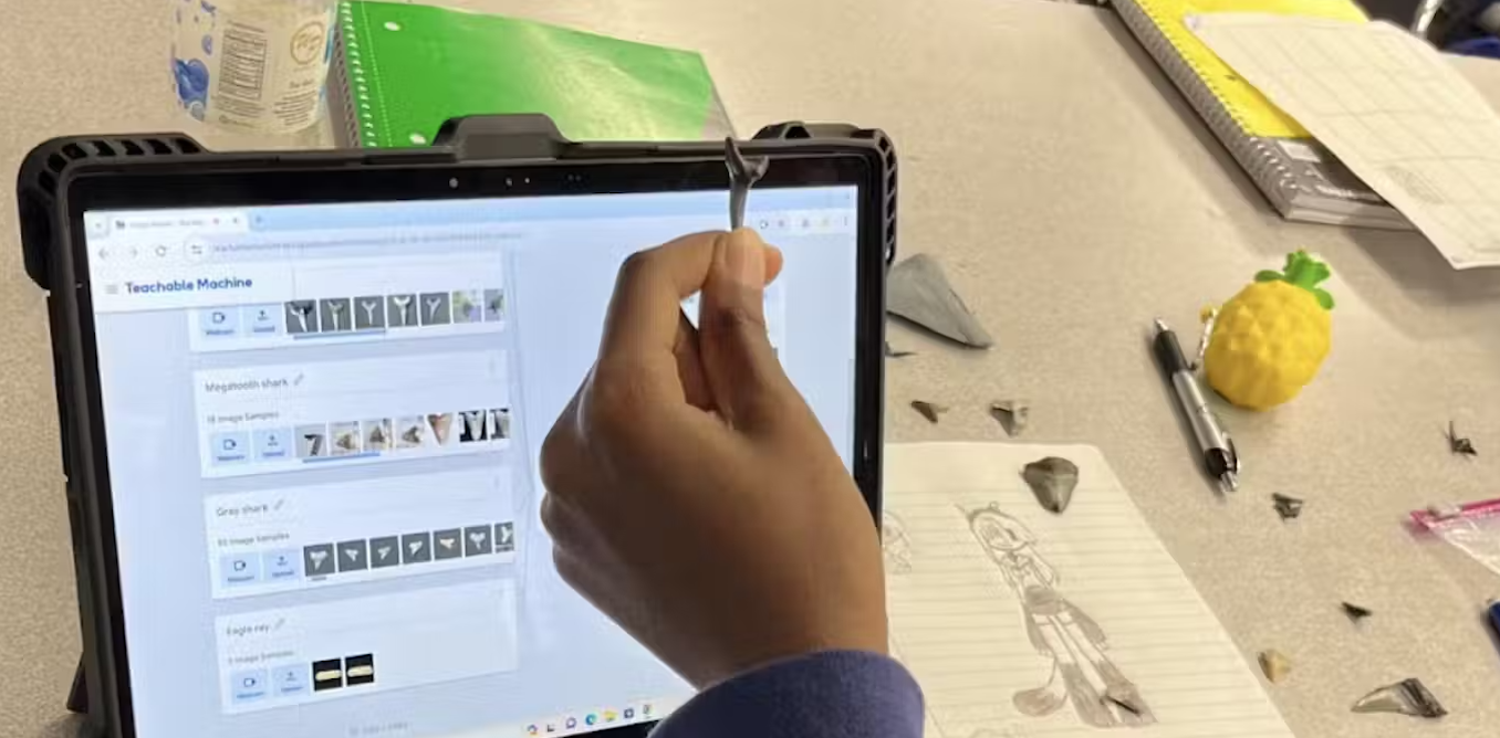 Shark AI uses fossil shark teeth to get middle school kids interested in paleontology and computer vision